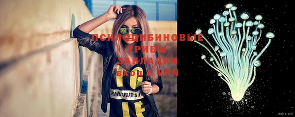 твердый Алзамай