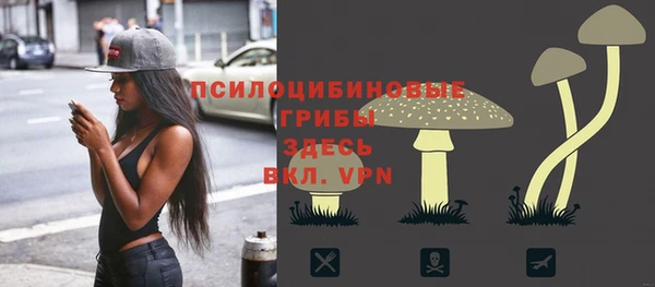 твердый Алзамай